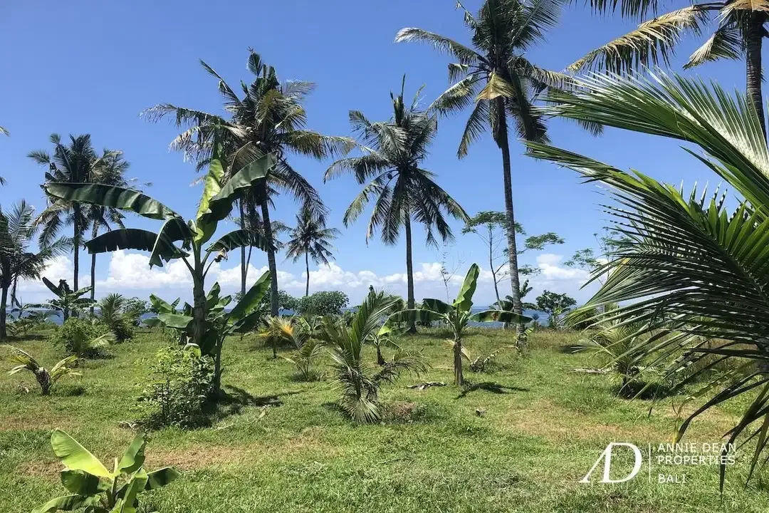 FREEHOLD LAND FOR SALE IN PANTAI MELAYA, JEMBRANA (257 ARE) - Image 9 of 9