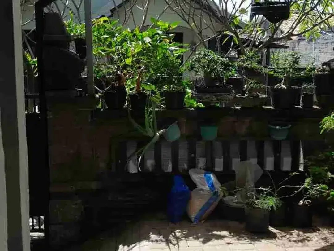 dijual cepat rumah jimbaran - Image 8 of 10