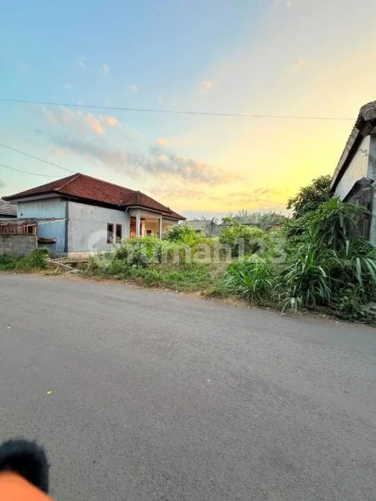 Dijual Tanah Murah Belakang Kampus Tehknik Udayana, Jimbaran Jln. Lingkar Timur Udayana - Image 2 of 4