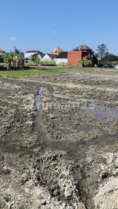 Dijual Kavling SHM Siap Bangun di Buduk - Mulai 100 MÂ² - View Sawah - Cash & Kredit - Image 3 of 4
