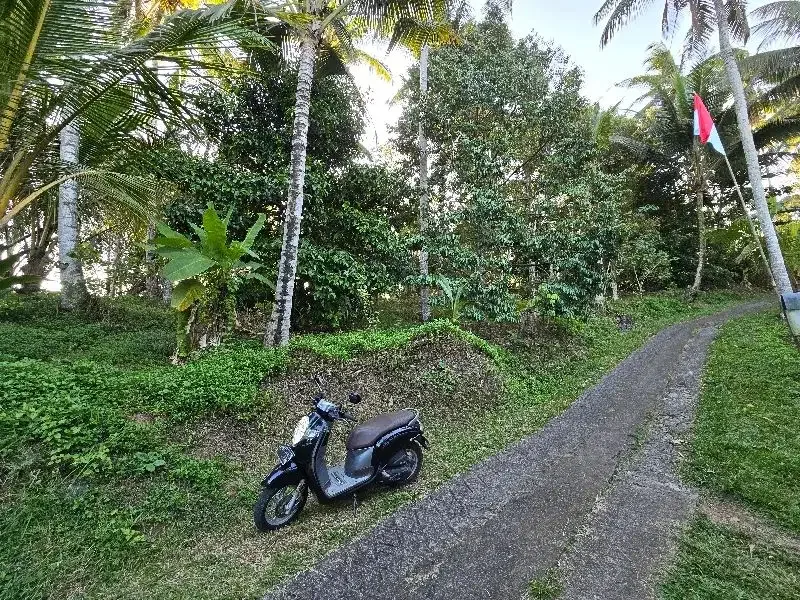 DIJUAL TANAH murah DENGAN VIEW SAWAH cantik dekat villa di bali - Image 8 of 10
