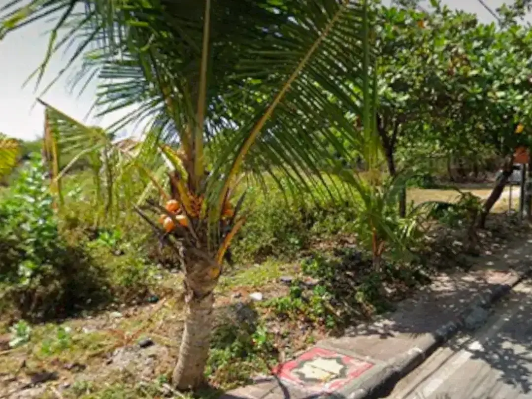 JUAL TANAH GLOBAL DI PINGGIR PANTAI KEDONGANAN - JIMBARAN - Image 5 of 6