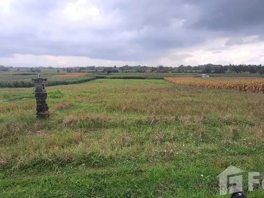Land for sale in Kerambitan, Bali - Image 1 of 6