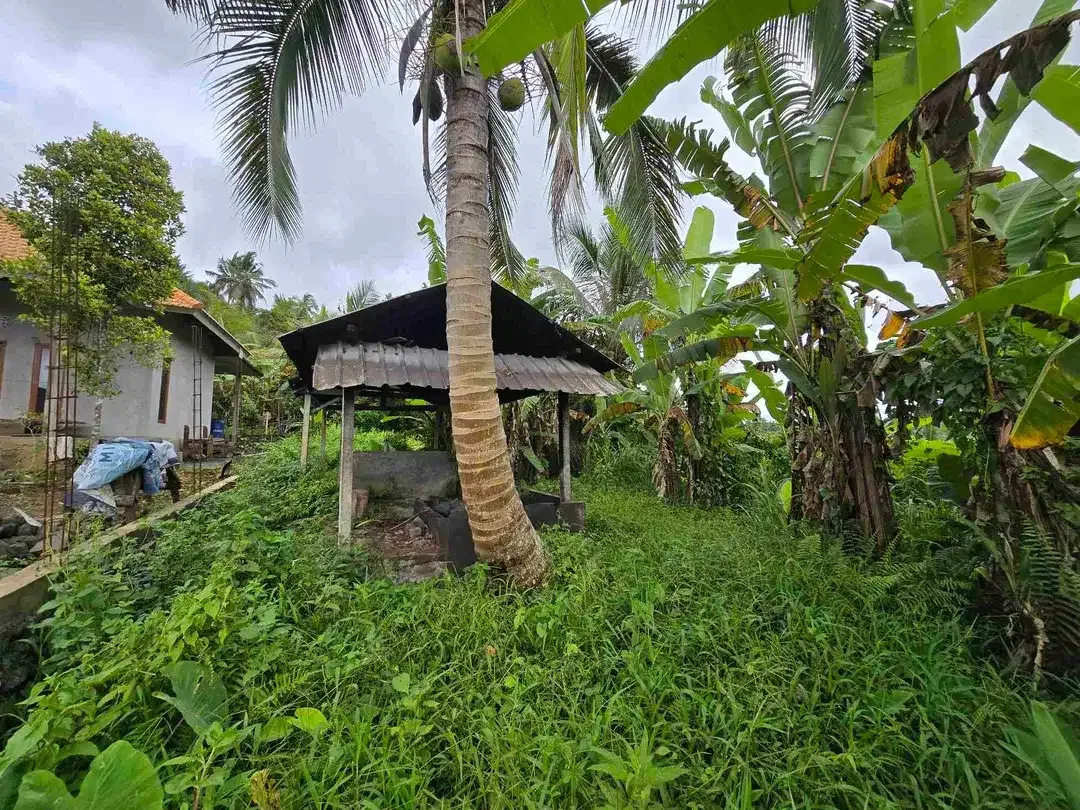 Dijual tanah kecil view sawah terasering di tabanan bali - Image 8 of 10