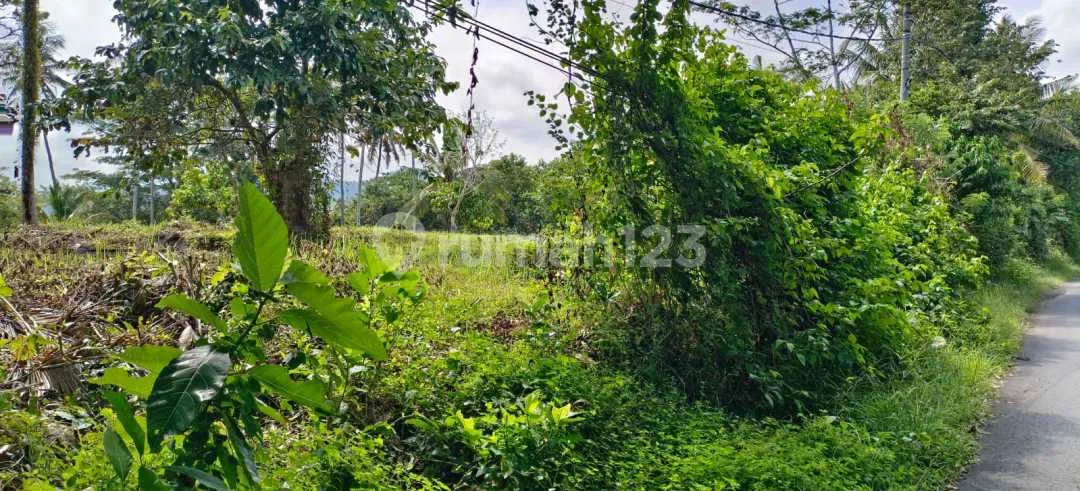 Jual Tanah Kebun Los Sungai Kontur Datar Dekat Jalan Utama,Di Tabanan Bali. - Image 2 of 4