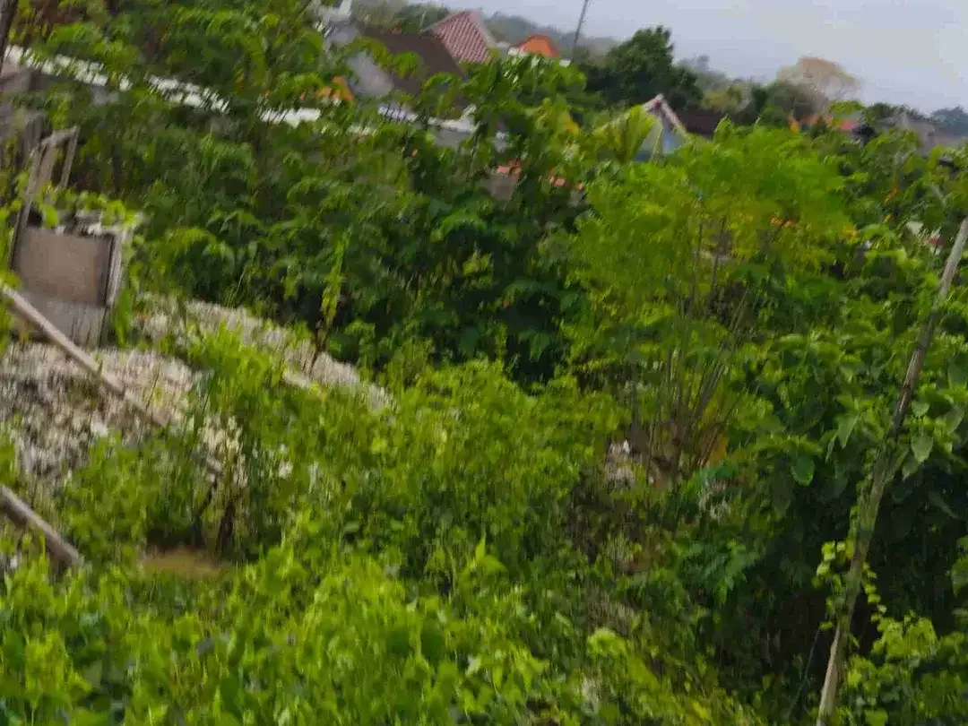 dijual tanah 5 are ocean view kawasan purigading jimbaran badung bali - Image 6 of 7