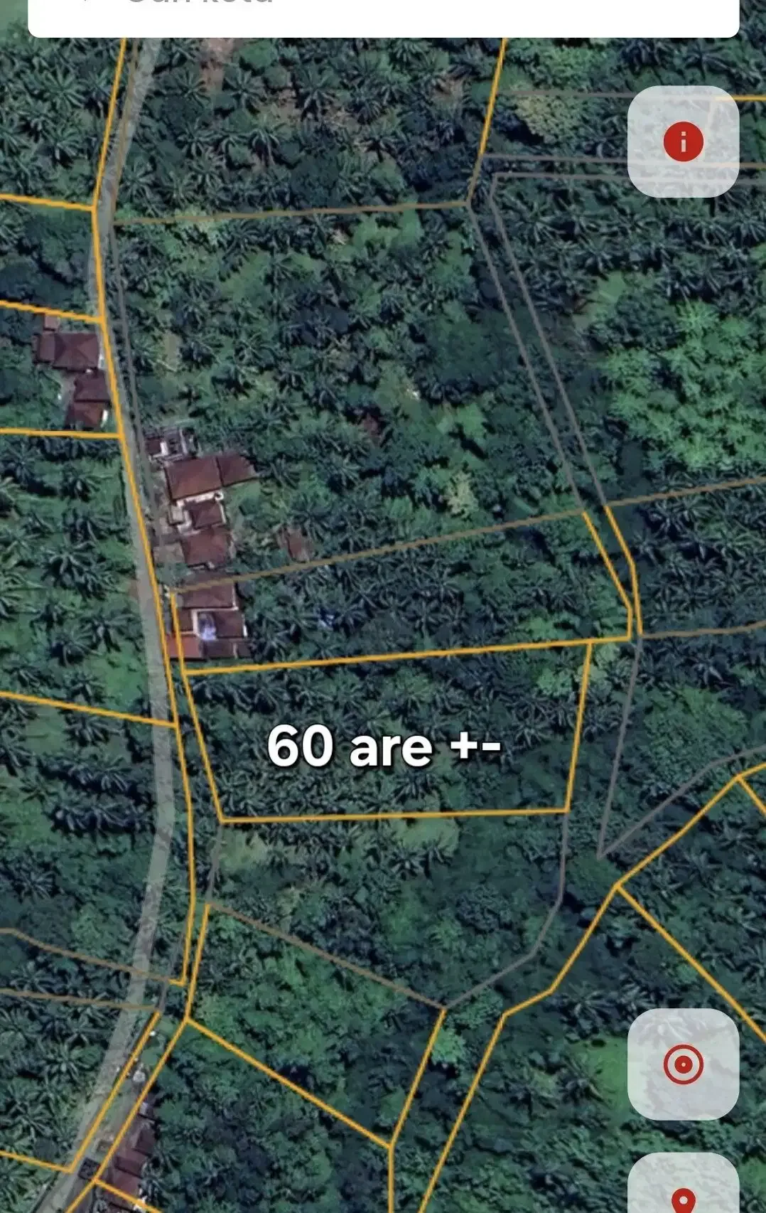 Dijual tanah kebun kelapa - Image 9 of 9