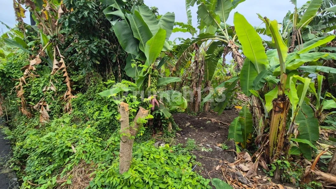 Dijual Tanah Lokasi Strategis di Sanur Zona Kuning - Image 2 of 4