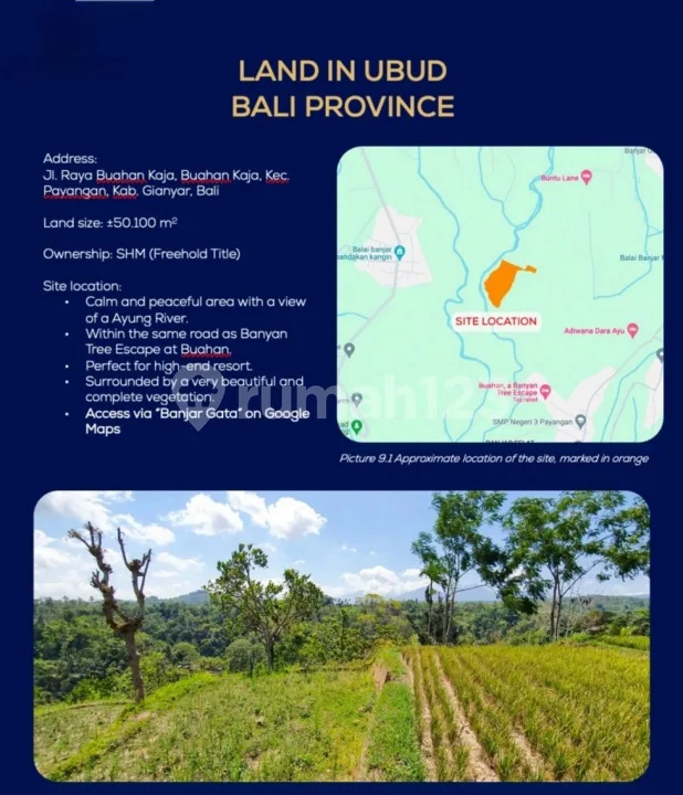 For Sale, Cheapest Land Area 50,100 M2 (5 Hectares) In Ubud, Gianyar, Bali - Image 2 of 4