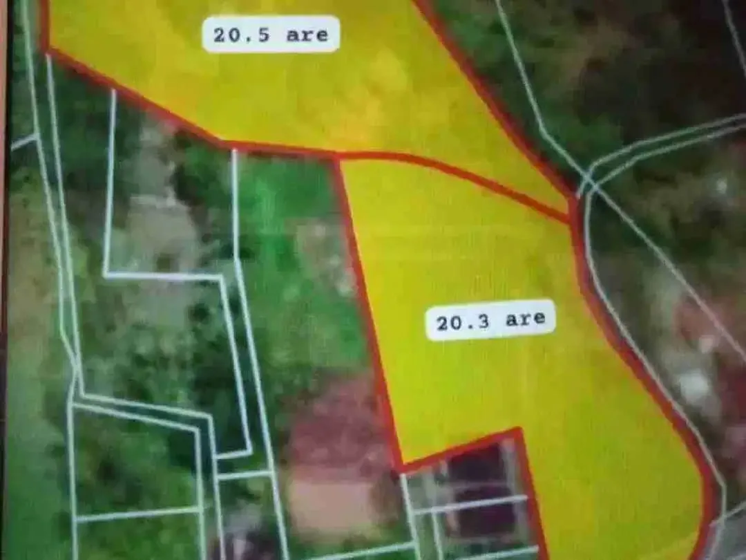 DIJUAL TANAH STRATEGIS – MEGATI, SELEMADEG, TABANAN BALI - Image 9 of 9