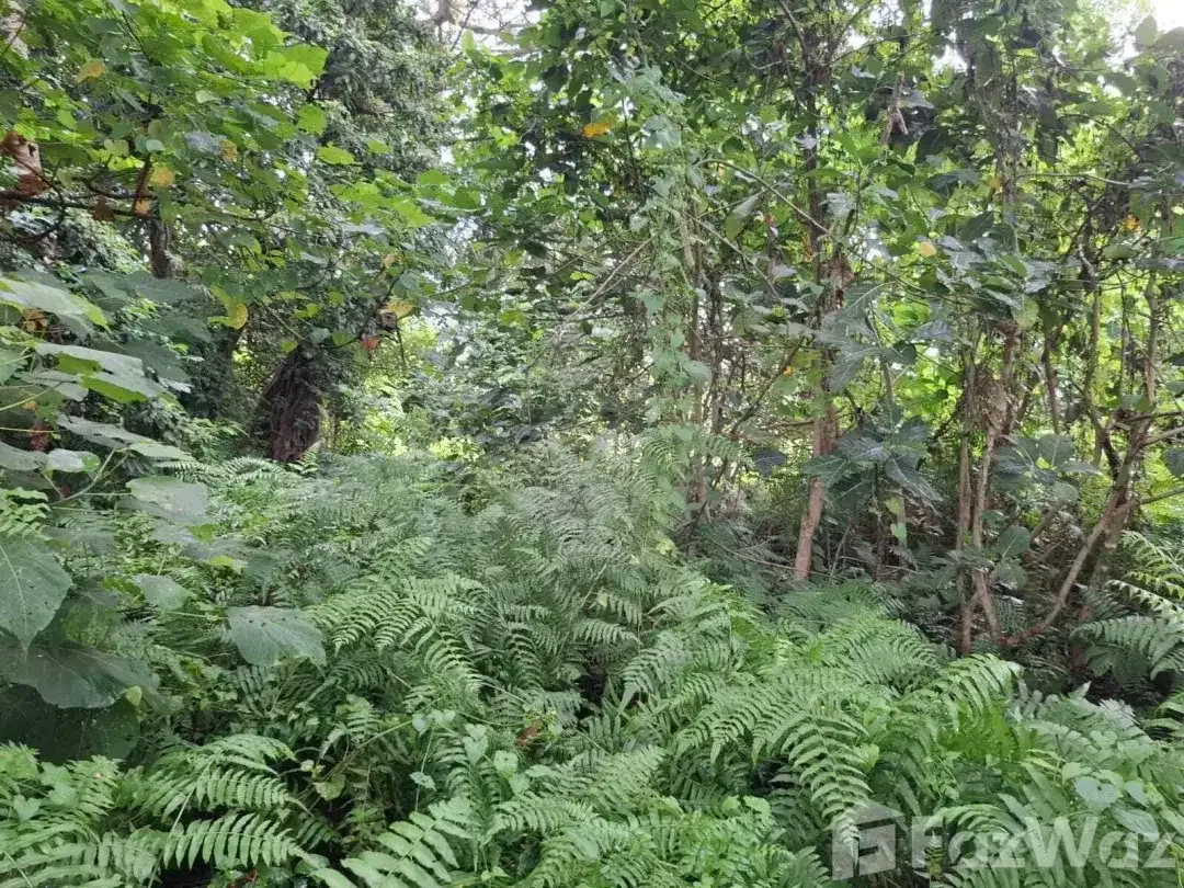 Land for sale in Ubud, Bali - Image 4 of 10
