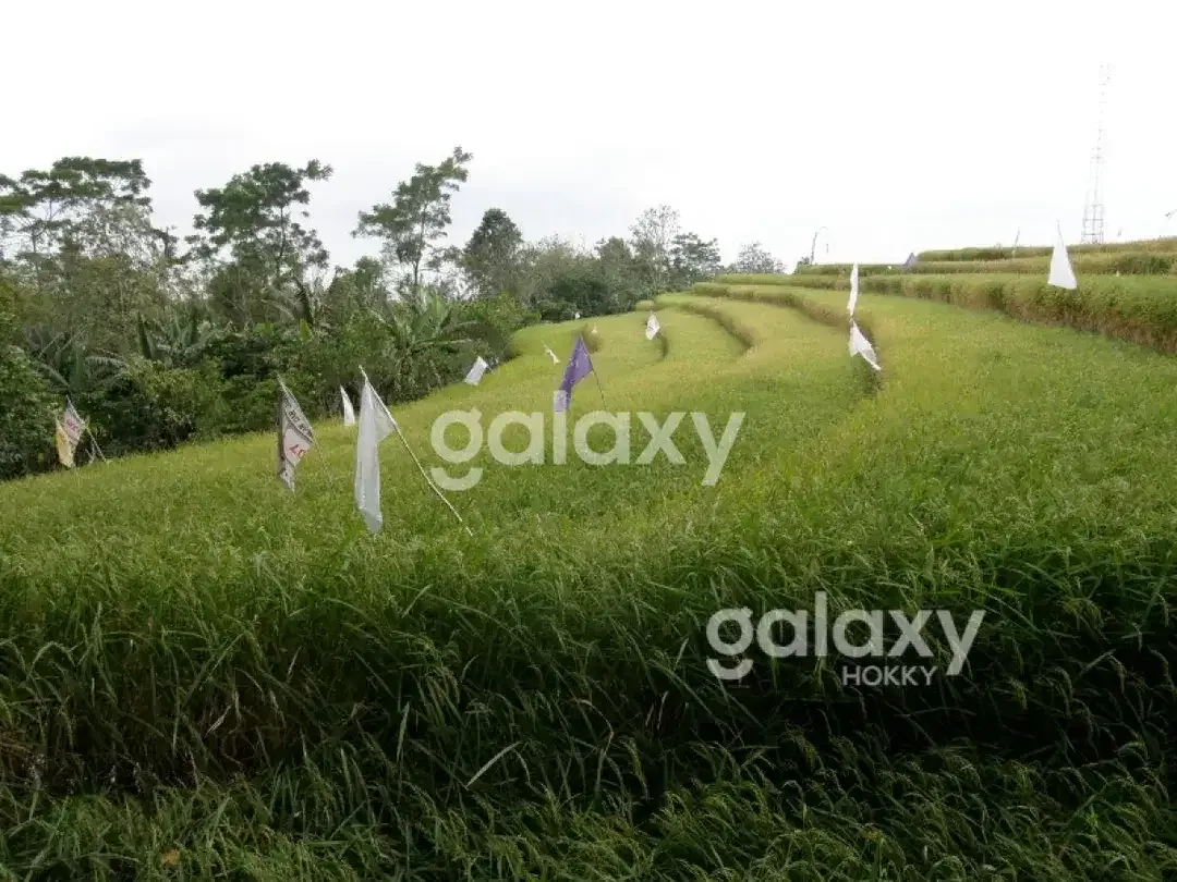 DIJUAL TANAH BR PAKA SANDA PUPUAN TABANAN, BALI - Image 3 of 6