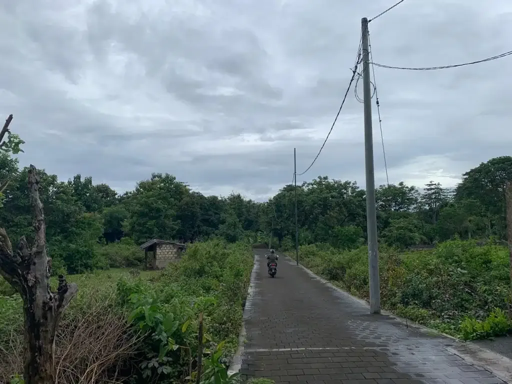 Dijual Tanah Dekat Pantai Balangan - Image 2 of 8