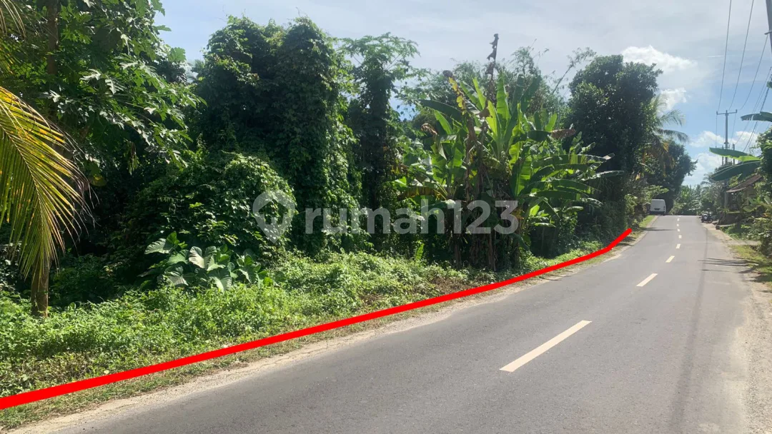 Land For Sale In Quiet Area At Subamia Tabanan Close To Tabanan City, Suitable For Housing Area - Image 3 of 4