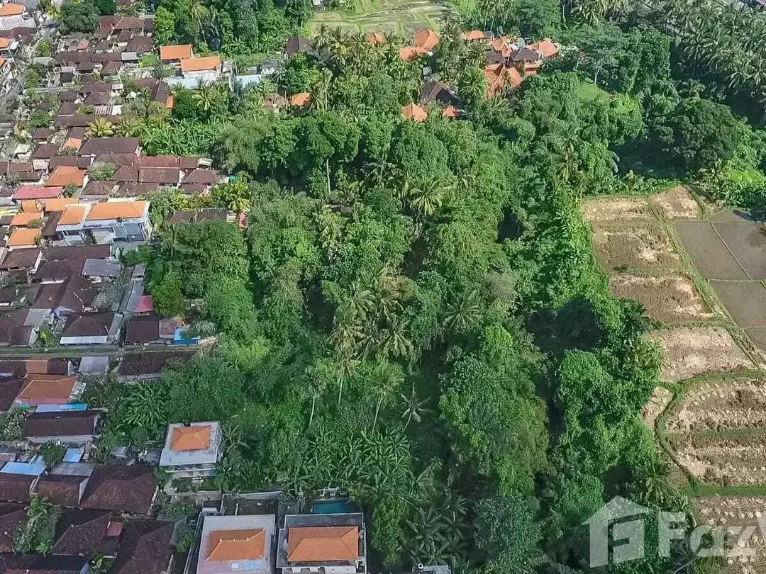 Land for sale in Ubud, Bali - Image 3 of 10