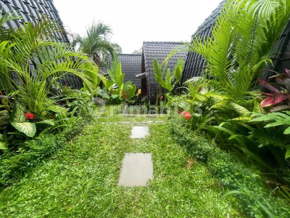 New Villa Model Joglo 2 Kolam Renang Strategis View Sawah Padonan (Brand New) - Image 4 of 4