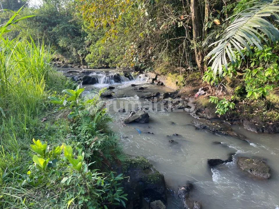 Bu! Tanah 2,4 Are Dijual Murah di Pandak Tabanan - Zona Kuning - Hanya Rp 900 Juta - Image 4 of 4