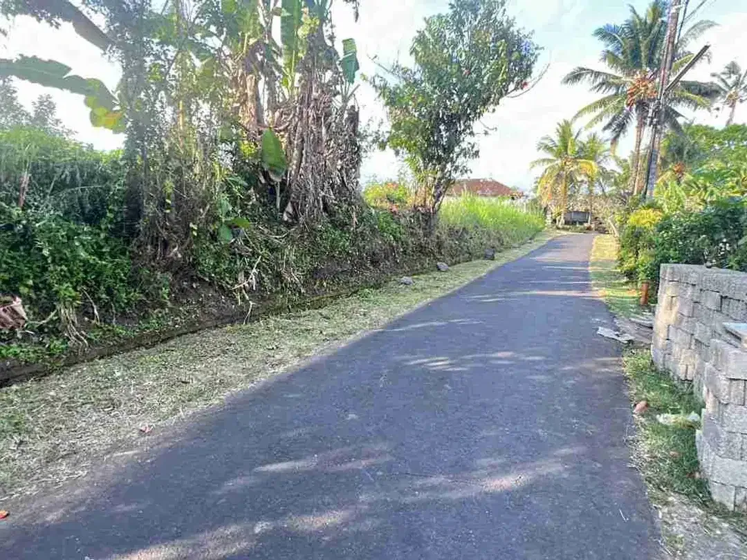 jual tanah kebun view bagus fi tabanan bali. - Image 5 of 10