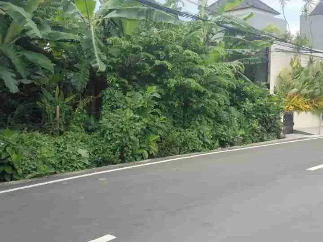Tanah Komersial Jalan Utama Tumbak Bayuh Canggu - Image 1 of 6