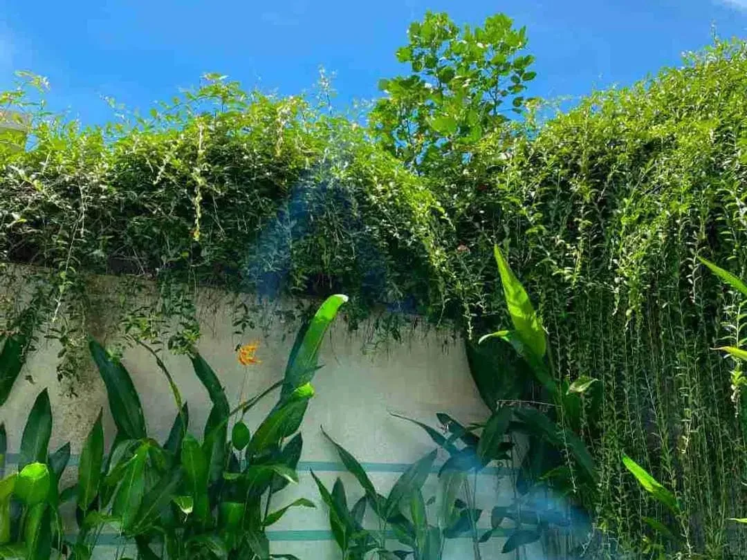 Villa lantai I di Padonan Canggu untuk dijual dan disewakan - Image 2 of 10