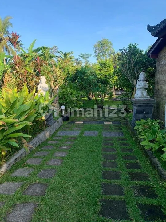 Dijual Villa Riverside di Bedugul, Tabanan - Image 4 of 4