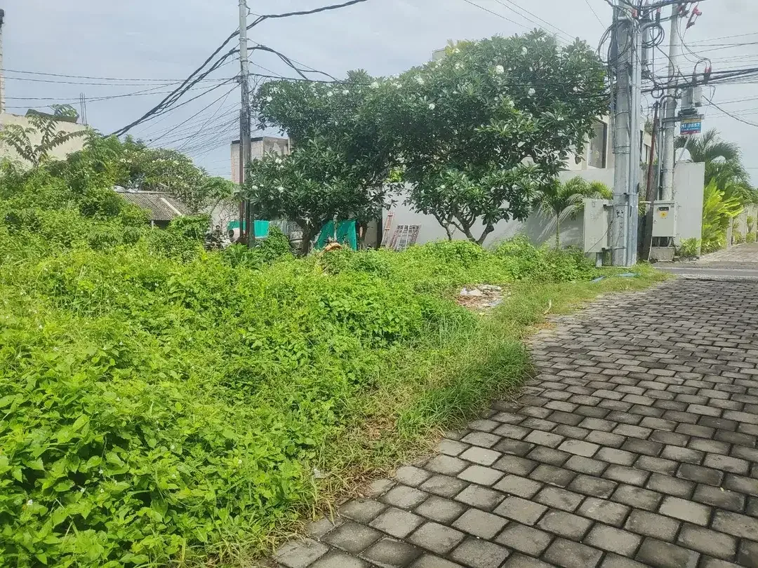 Tanah pererenan canggu - Image 6 of 10