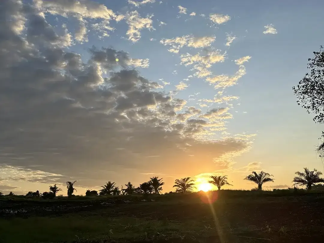 TANAH PERERENAN CANGGU KEDUNGU SIAP BANGUN VILLA - Image 1 of 10