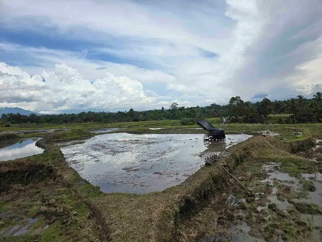 Dijual tanah murah view gunung sawah dan laut di tabanan bali - Image 3 of 9