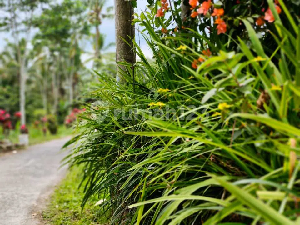 Di Jual Tanah View Sawah Gunung dan Lembah Lokasi Ubud - Image 3 of 4