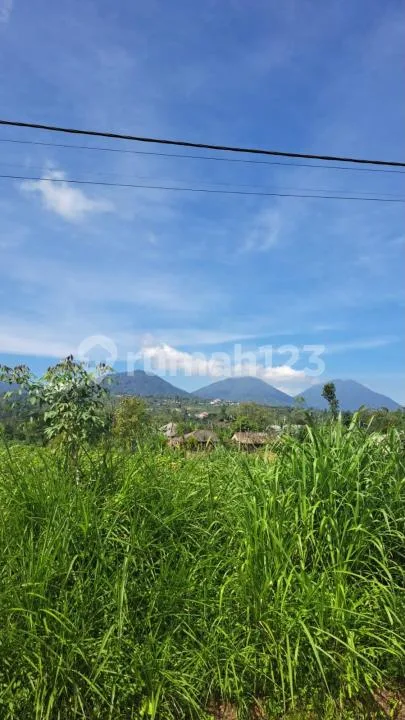 Tanah Zona Kuning Munduk Gobleg Bedugul #7731 - Image 2 of 4