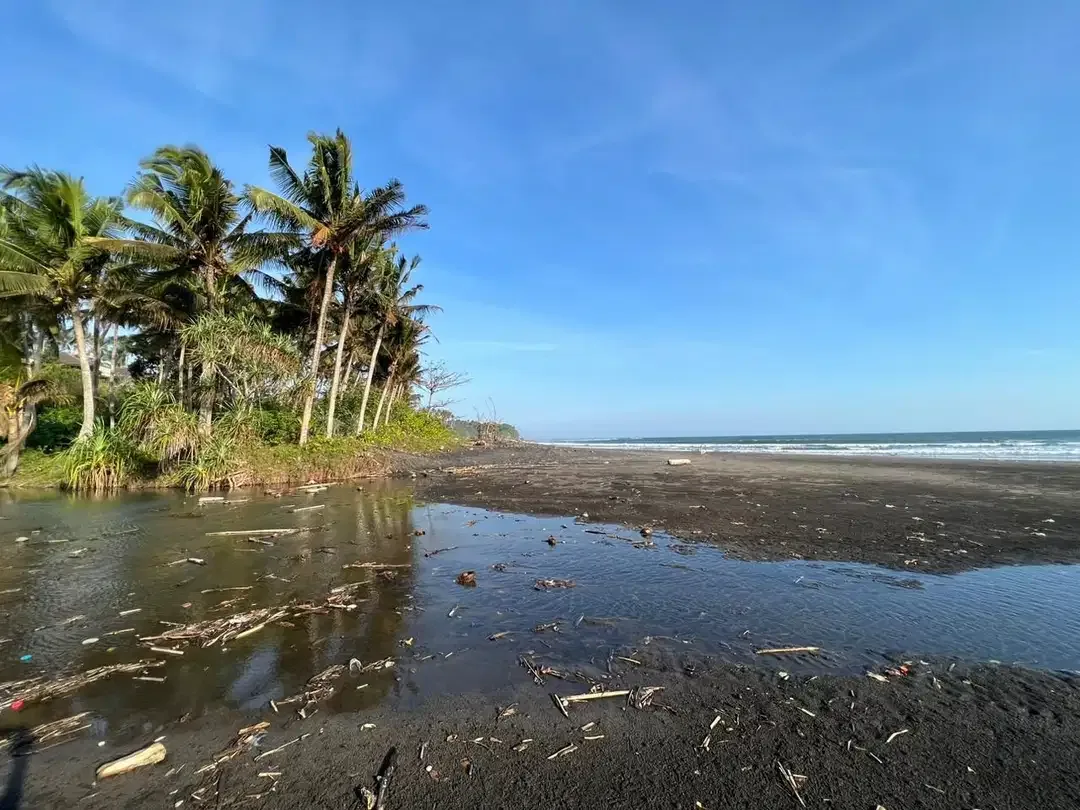 Dijual Tanah Langka Los Pantai dan Sungai di Balian Beach Tabanan - Image 9 of 10