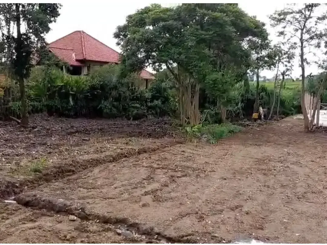 PREMIUM LAND TUMBAK BAYUH PERERENAN CLOSE TO CANGGU - Image 1 of 4