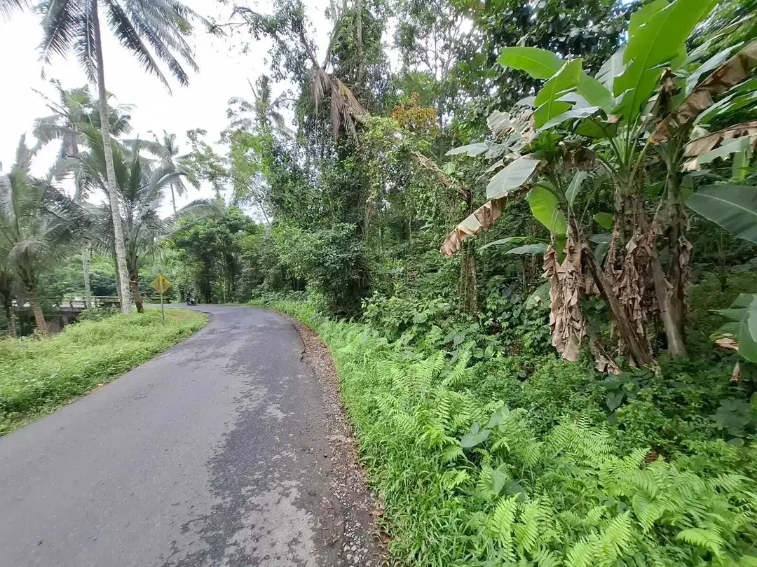 Dijual tanah kecil los sungai besar di tabanan bali - Image 4 of 8
