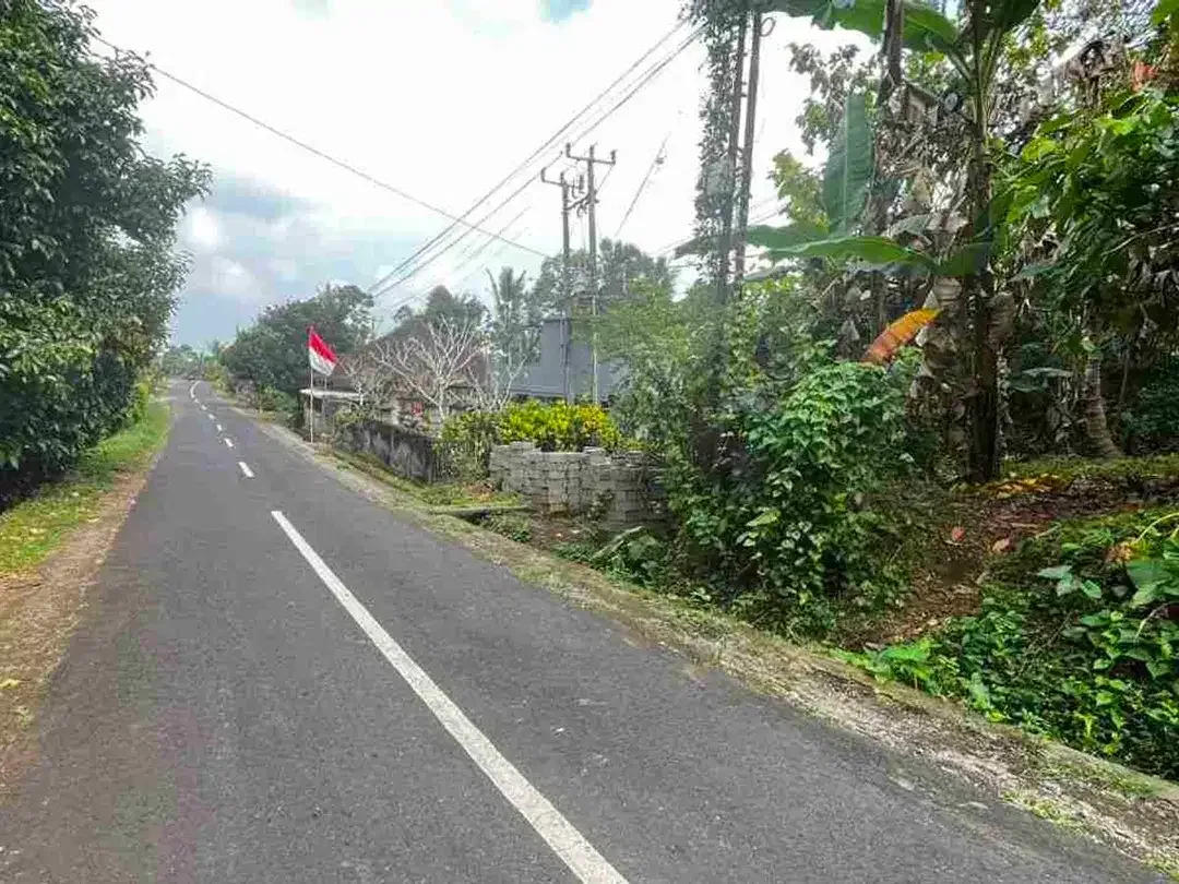jual tanah kebun aneka buah lokal area pemukiman di tabanan bali. - Image 9 of 10