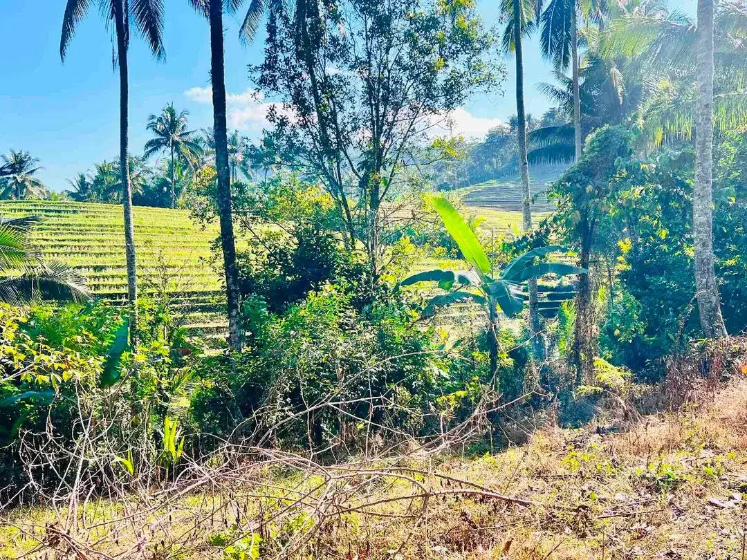 jual tanah Luas 950 m² harga 380 juta global, kawasan villa jarang ada, di tabanan bali. - Image 7 of 10