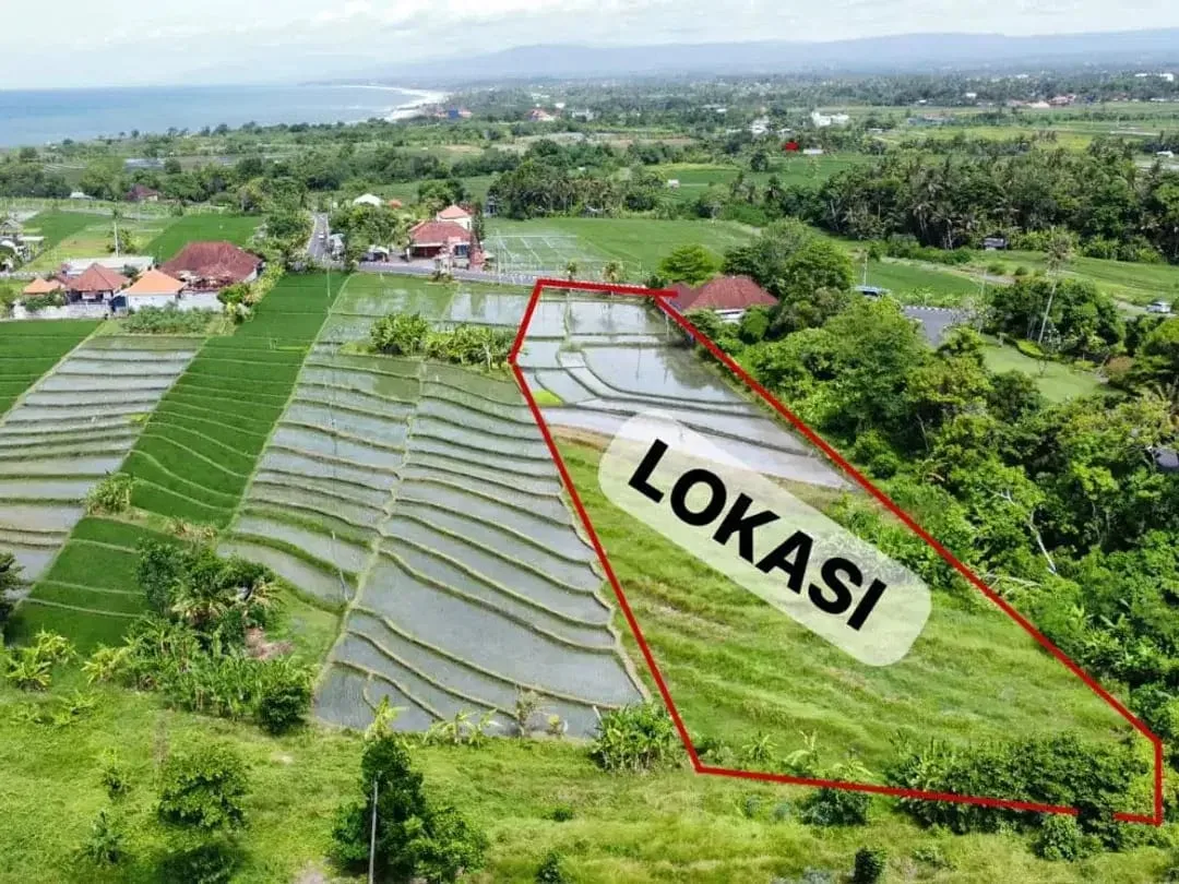 LAND FOR LEASEHOLD IN TANAH LOT BALI - Image 4 of 9