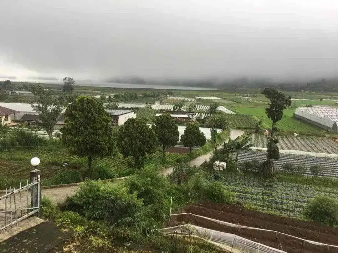 Di jual tanah bonus villa berada di desa pancasari Bedugul bali - Image 4 of 6