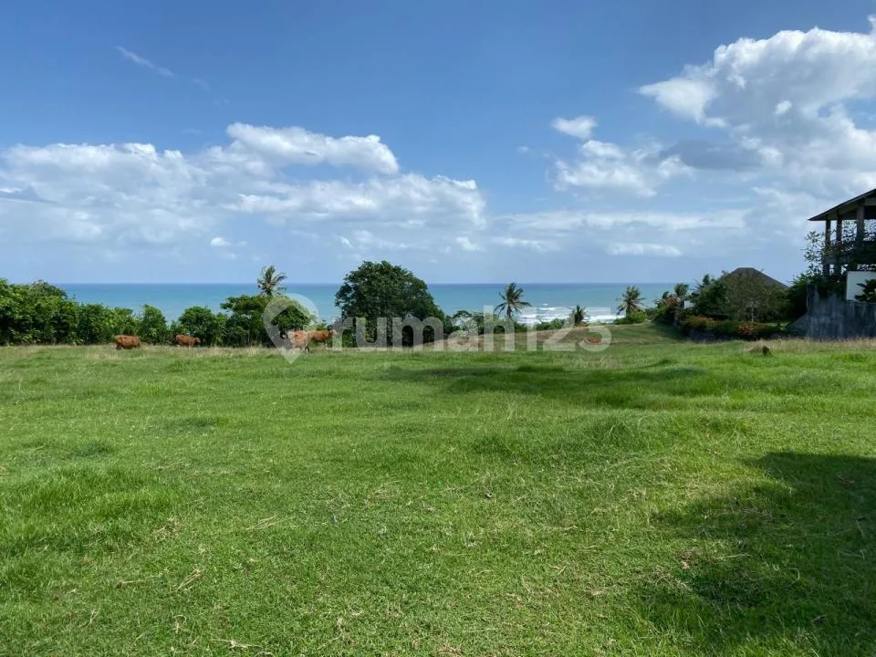 Tanah di Lalang Linggah Balian Beach 6625MÂ² Tabanan - Image 2 of 4