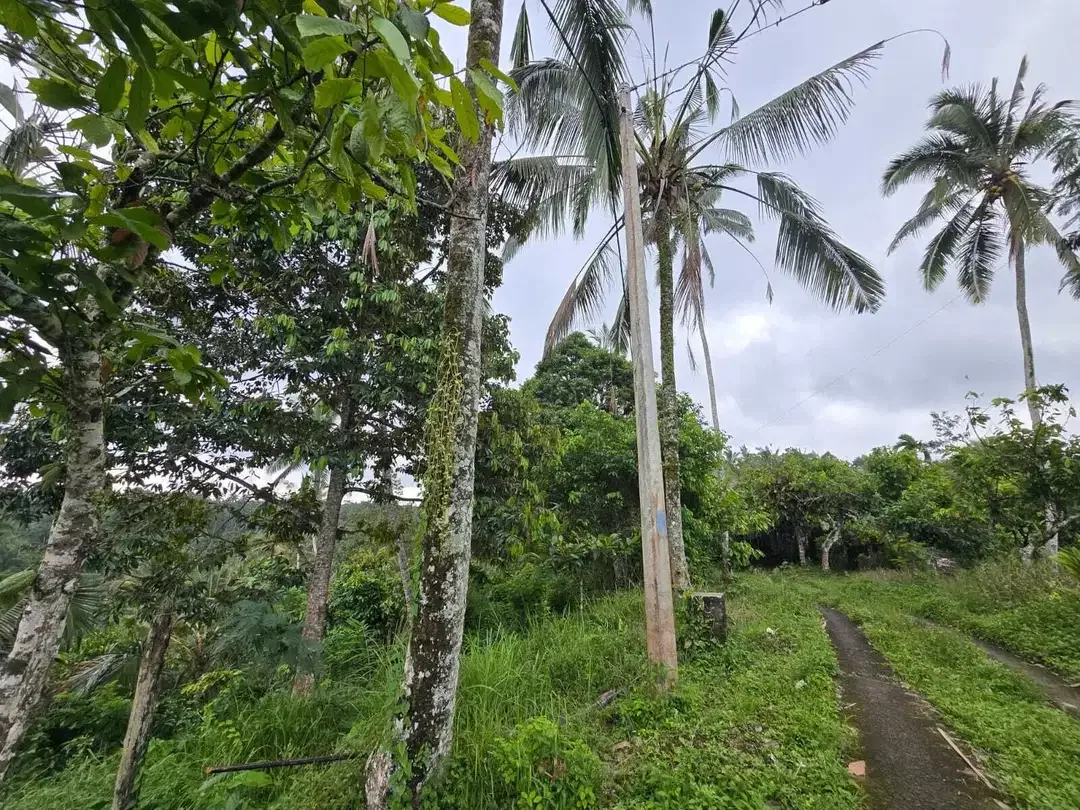 Dijual tanah di bali los sungai dengan view exotik jugle - Image 4 of 10