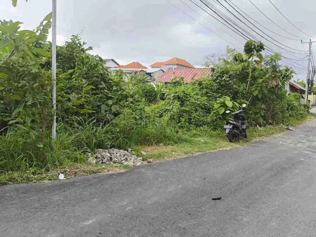 Disewakan Tanah 14,3a di Jln Bajataki Gatsu Barat Denpasar Bali - Image 10 of 10