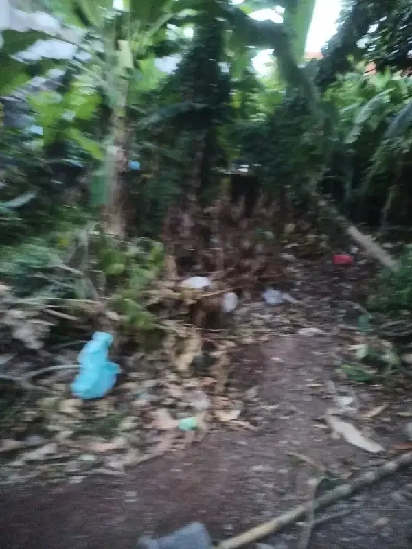 tanah kontrak termurah di pinggir jalan umalas - Image 6 of 10