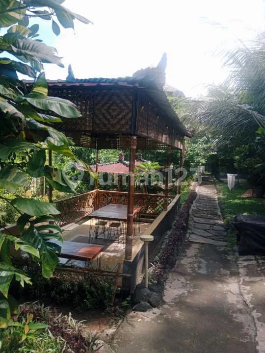 Villa Dijual Bajera Tabanan Bali Siap Pakai SHM - Image 3 of 4