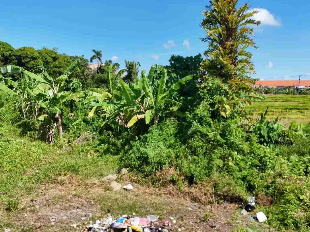 Tanah Komersial Umalas View Sawah Area Villa Premium Kerobokan - Image 2 of 10