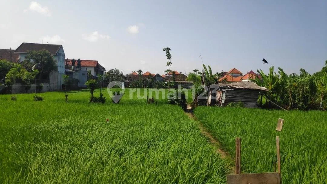 Ready Oktober 2026 - Rumah Mezzanine di Renon Dekat Jalan Utama - Image 3 of 4