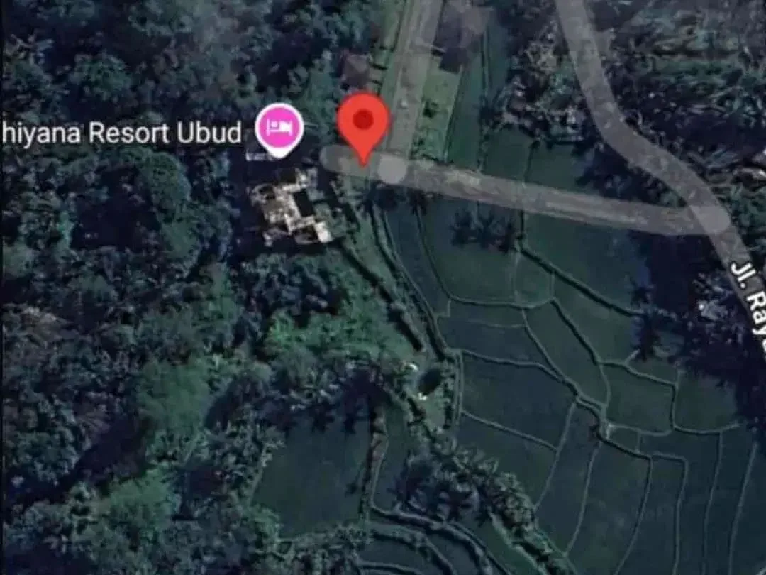 For Lease Exclusive Land Ubud - Image 4 of 7
