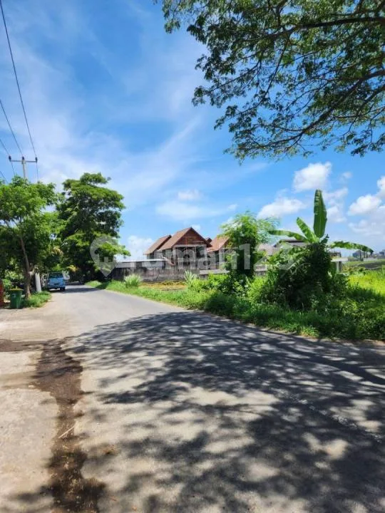 Land For Sale In Seseh Beach Bali - Image 2 of 4