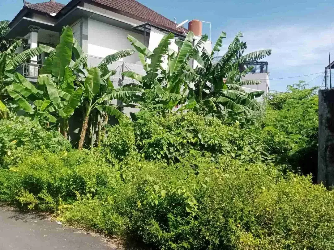 Tanah 200m² Dekat Kampus Udayana Jimbaran Bali - Image 1 of 5