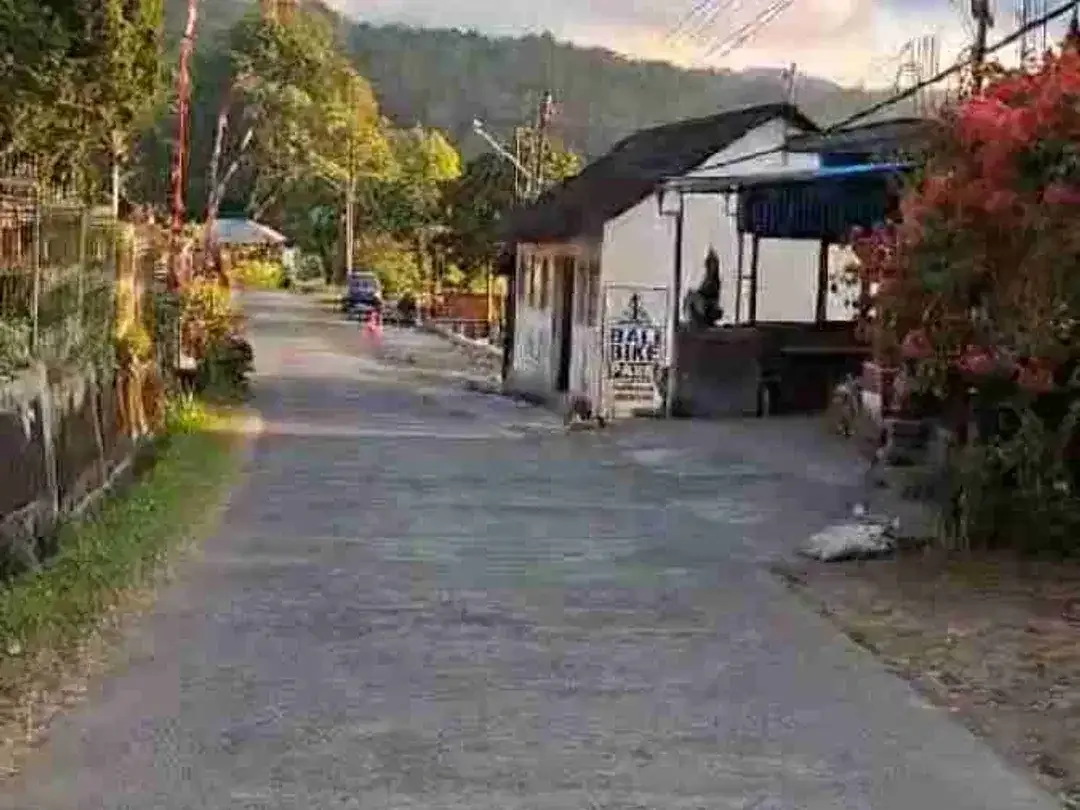 Full View Danau Buyan 5.200m² Bonus Rumah Style Villa - Image 9 of 10
