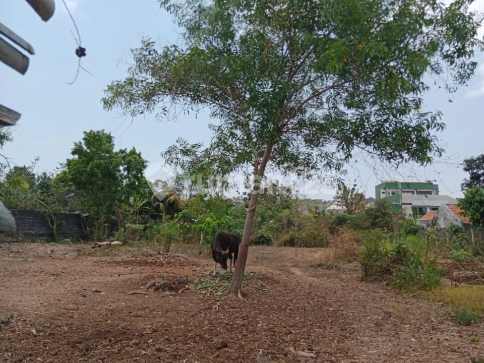 Tanah Puri Gading Dekat Taman Rama Jimbaran - Image 2 of 4
