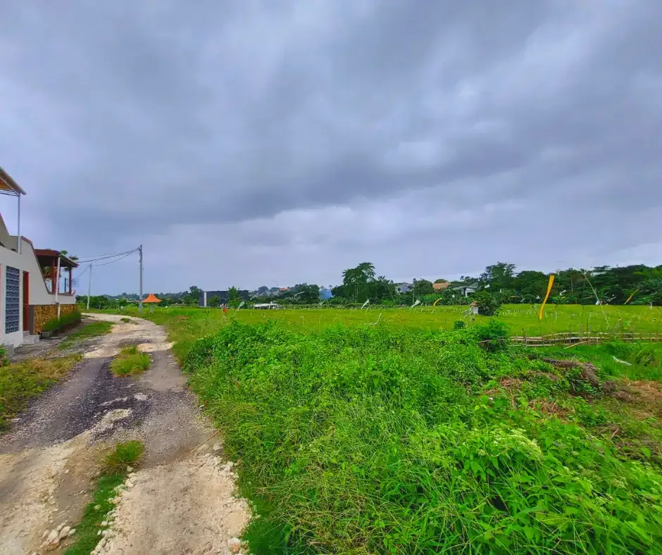 DIJUAL TANAH VIEW SAWAH LOKASI BERAWA CANGGU - Image 4 of 9